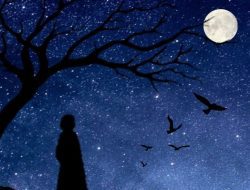 Perempuan di Ujung Bulan