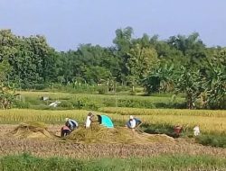 6.900 Pekerja Rentan di Sampang Dapat Jaminan Sosial dari Dana Cukai Tembakau