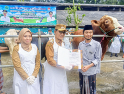 Pemkab Pamekasan Kenalkan Program Ternak Sehat, Sapi Lokal Tembus Istana Negara