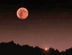 Fenomena Strawberry Moon Hiasi Langit Indonesia, Puncaknya Terjadi Siang Hari