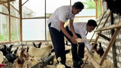Lapas Narkotika Pamekasan Gelar Panen Perdana Telur Ayam Kampung, Dukung Ketahanan Pangan Nasional