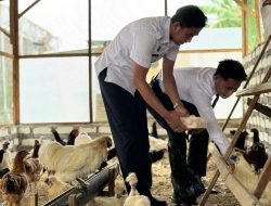 Lapas Narkotika Pamekasan Gelar Panen Perdana Telur Ayam Kampung, Dukung Ketahanan Pangan Nasional