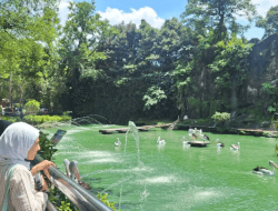 Libur Nataru, Ragunan Tambah Jam Operasional dan Siapkan Atraksi Satwa