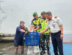 Pembinaan Produktif, Lapas Narkotika Pamekasan Panen Sawi dan Lele