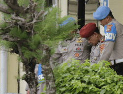 Kasat Resnarkoba Polres Bima Kota Jadi Tersangka Peredaran Sabu, Polda NTB Amankan Hampir 0,5 Kg