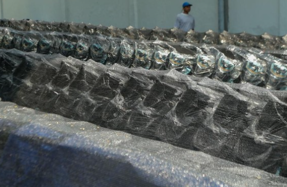 Kejagung Segel 17.600 Motor Listrik Pengadaan BGN, Pergerakan Kendaraan Diawasi Penyidik