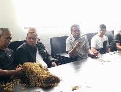 Tembakau Madura Mulai Dibeli, PT Bawang Mas Group Patok Harga hingga Rp75 Ribu per Kg