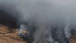 Kebakaran Bromo Meluas, 120 Hektare Kawasan TNBTS Terdampak; Helikopter Water Bombing Disiagakan