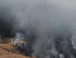 Kebakaran Bromo Meluas, 120 Hektare Kawasan TNBTS Terdampak; Helikopter Water Bombing Disiagakan