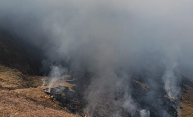 Kebakaran Bromo Meluas, 120 Hektare Kawasan TNBTS Terdampak; Helikopter Water Bombing Disiagakan