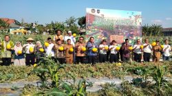 Gandeng Ayunda Permata, Lapas Pamekasan Sulap Lahan Idle Jadi Produktif