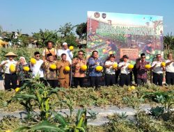 Gandeng Ayunda Permata, Lapas Pamekasan Sulap Lahan Idle Jadi Produktif